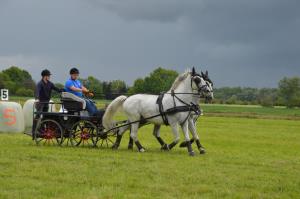 3. Srečanje kočij in konjenikov na Grabah 3